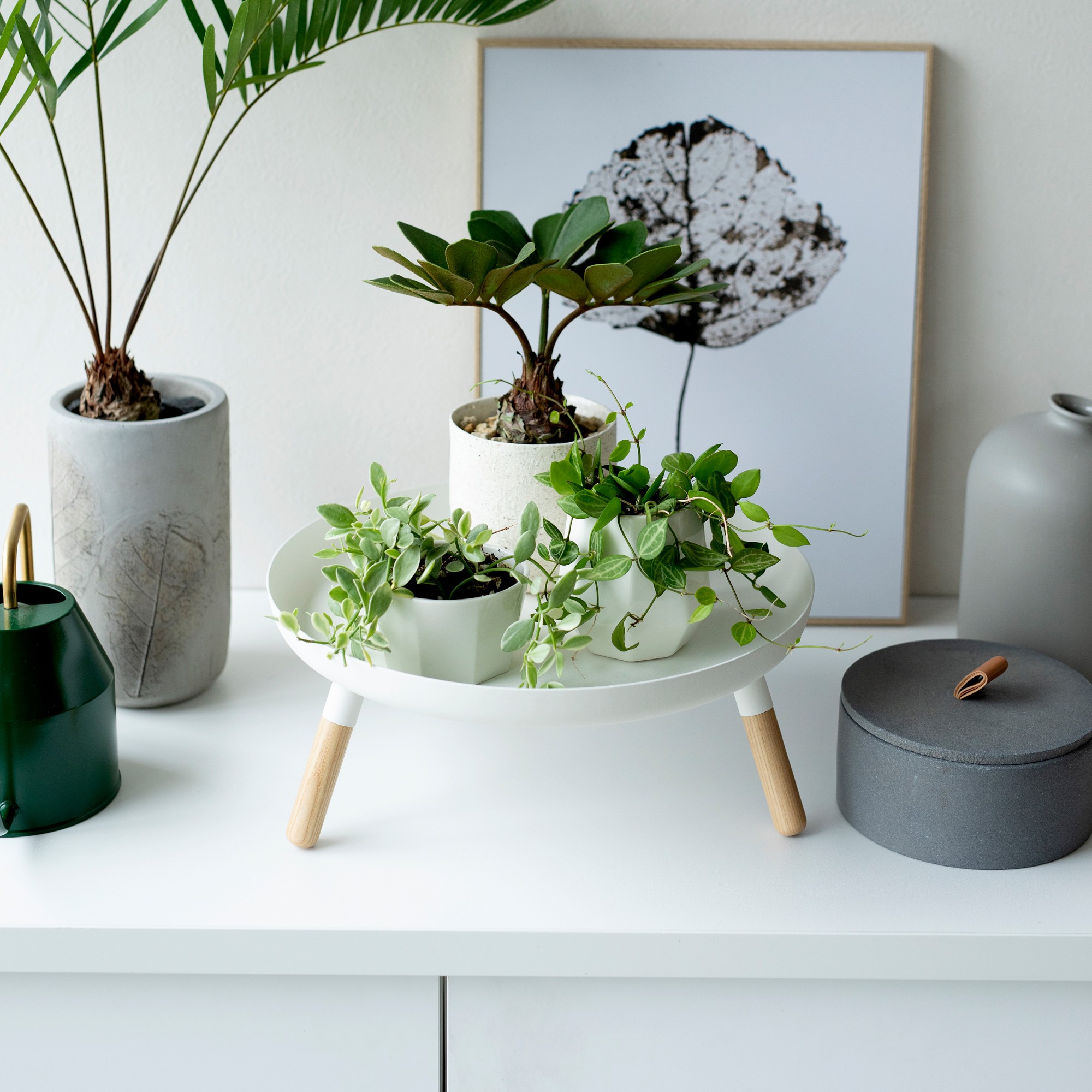 Yamazaki Home Countertop Pedestal Tray