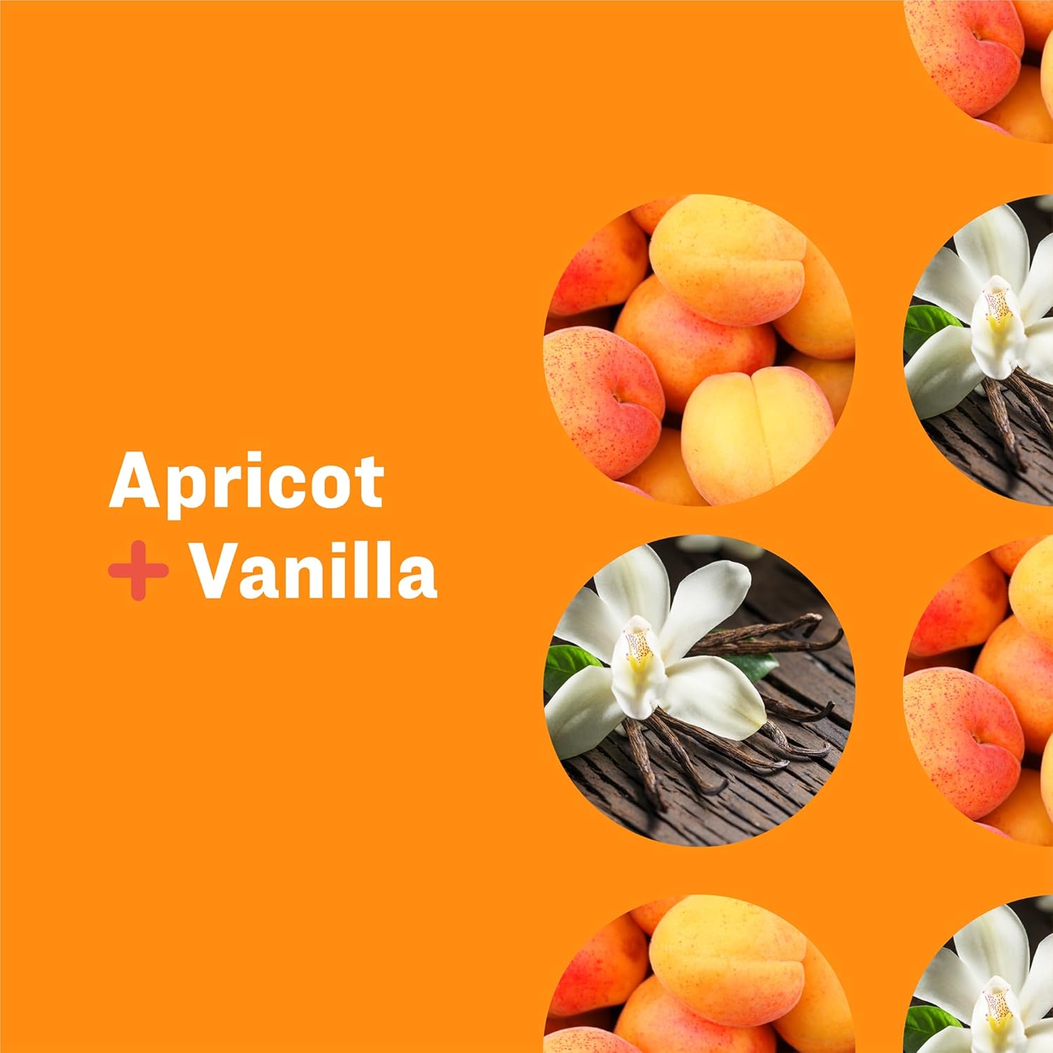 Everyone Liquid Hand Soap, 12.75 Ounce (Pack of 3), Meyer Lemon and Mandarin, Plant-Based Cleanser with Pure Essential Oils