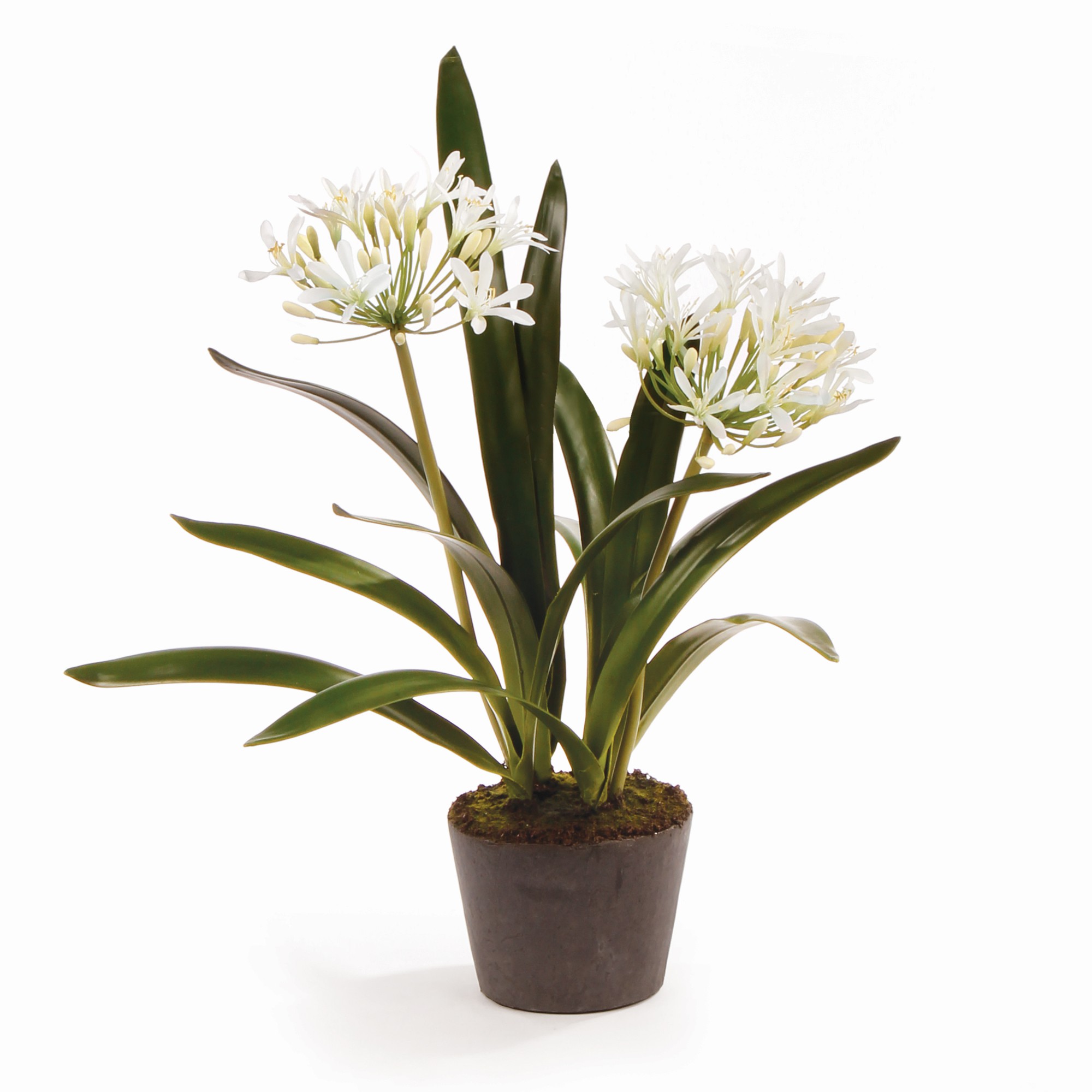 Faux Agapanthus Drop-In