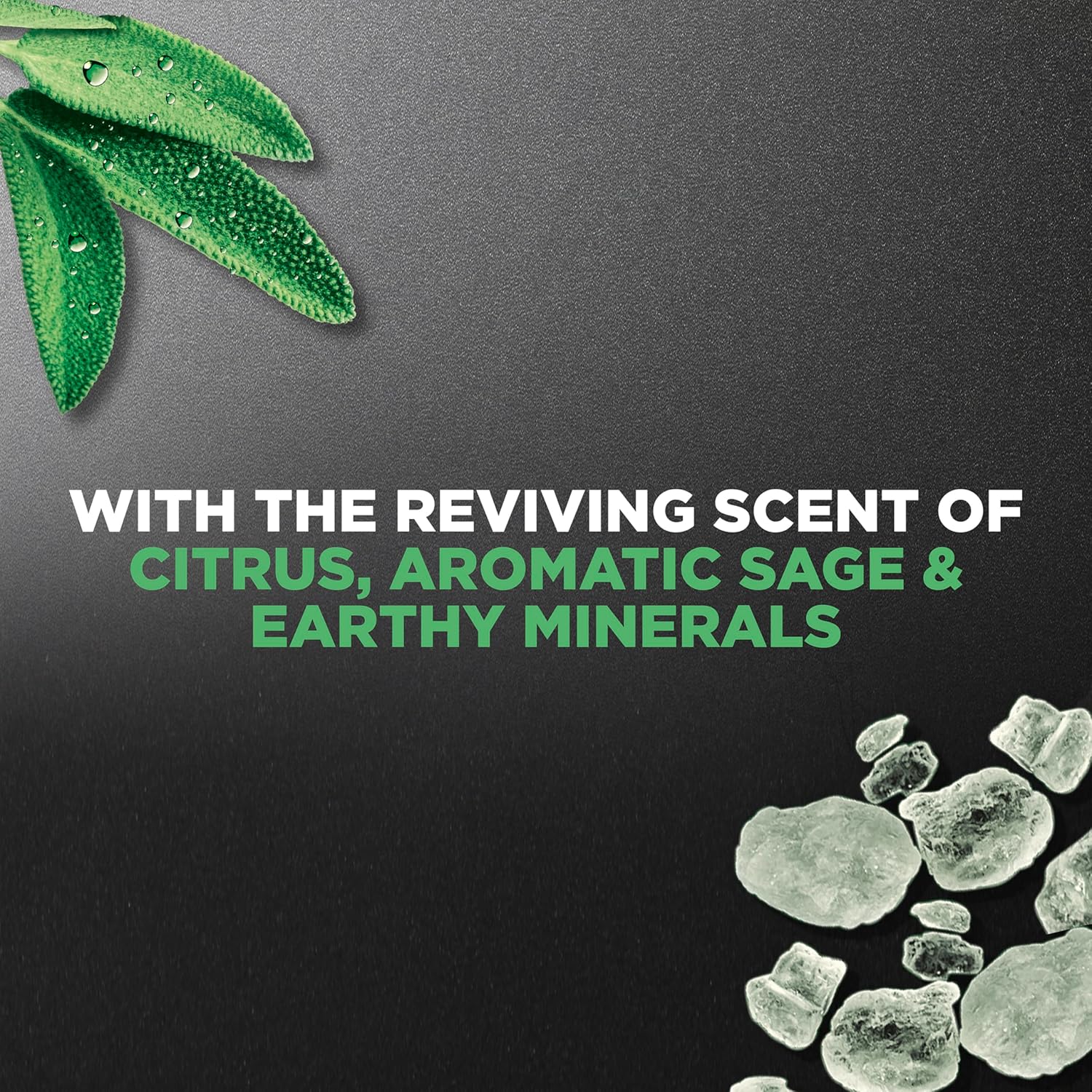 Dove Men+Care Body Wash Extra Fresh 4 Count for Men's Skin Care Body Wash Effectively Washes Away Bacteria While Nourishing Your Skin 18 oz