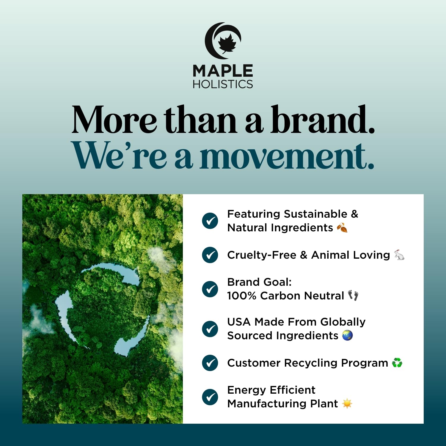 Volumizing Biotin Shampoo and Conditioner Set - Sulfate Free Shampoo and Conditioner for Dry Damaged Hair Care - Thinning Hair Shampoo and Conditioner with Nourishing Biotin and Rosemary Oil (8oz)