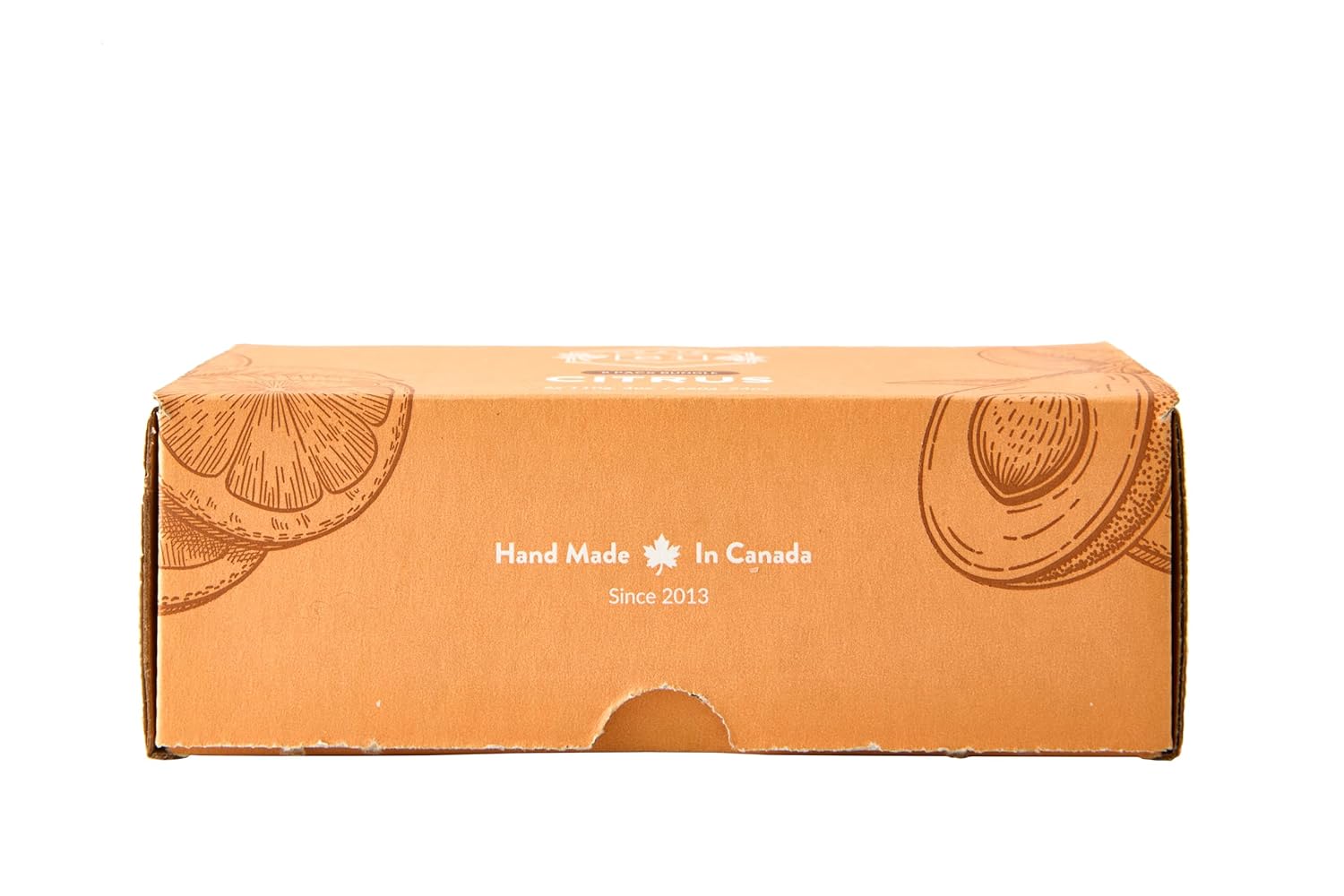 Handmade in Canada, Plant Based Cold Process Natural Bar Soap, With Premium Essential Oils, Dry Skin, Pack of 6 (Most Popular)