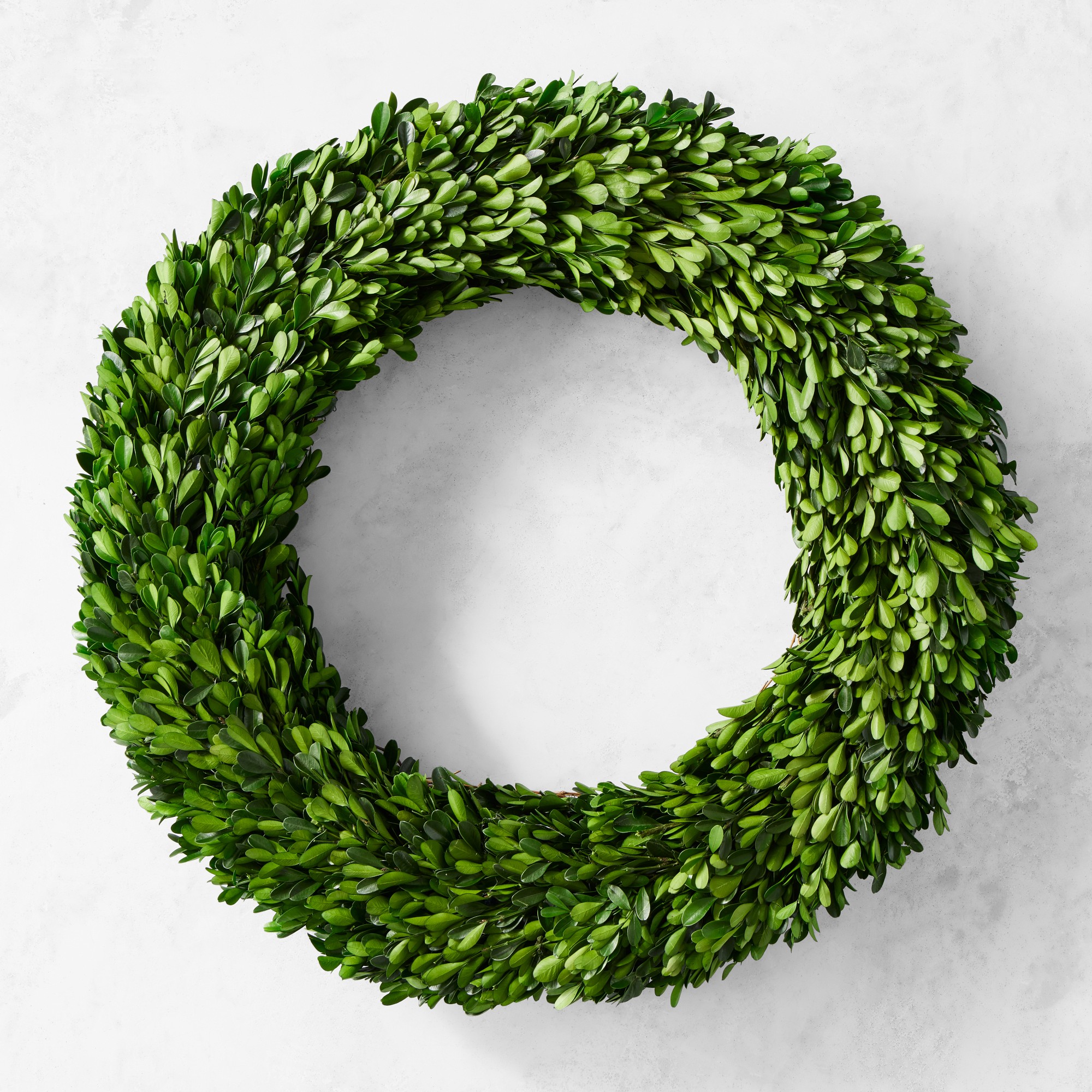 Preserved Boxwood Wreath