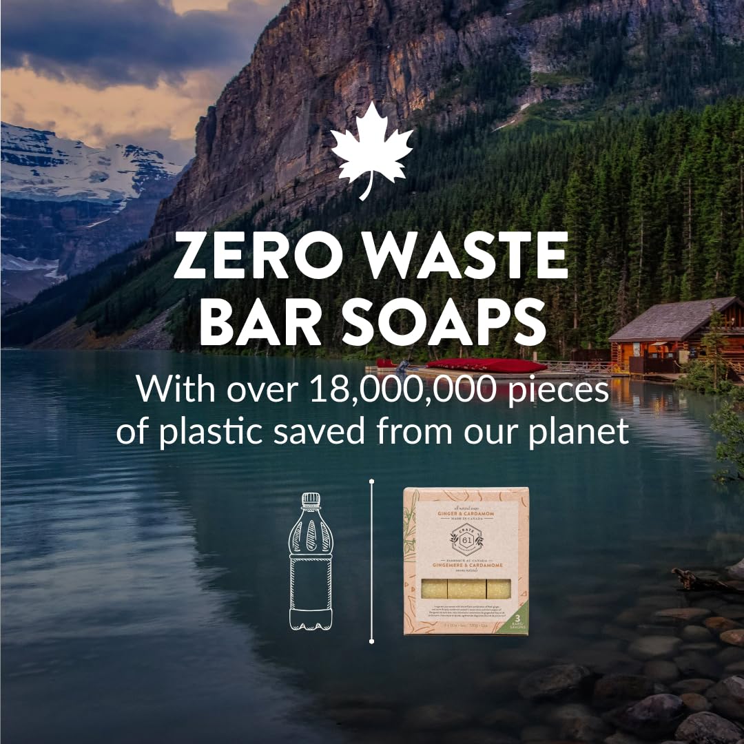 Handmade Vegan Natural Bar Soap Cold Pressed For Face And Body, With Premium Essential Oils, Eucalyptus & Peppermint For Men And Women 3 Pack (Lavender)