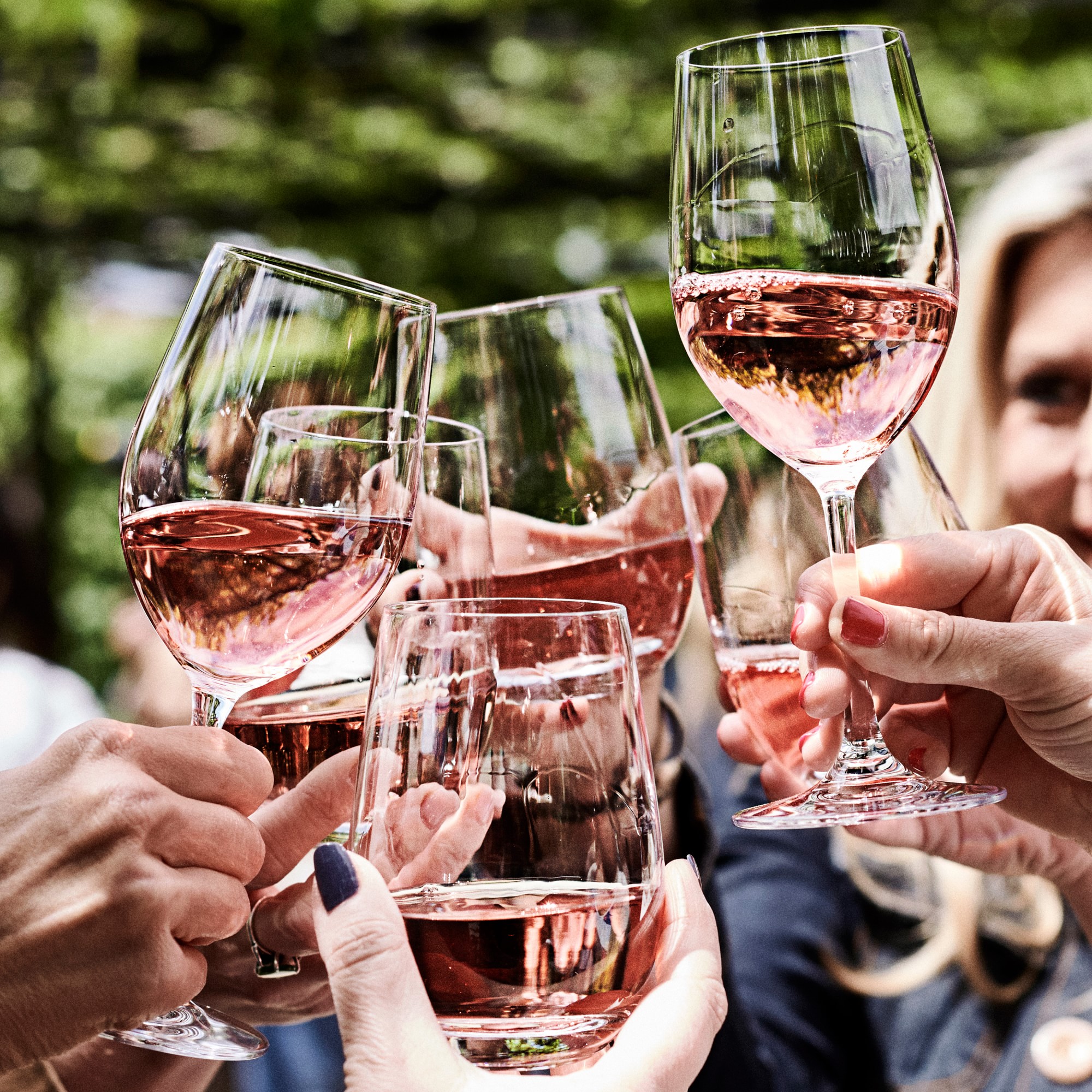 Open Kitchen by Williams Sonoma Red Wine Glasses