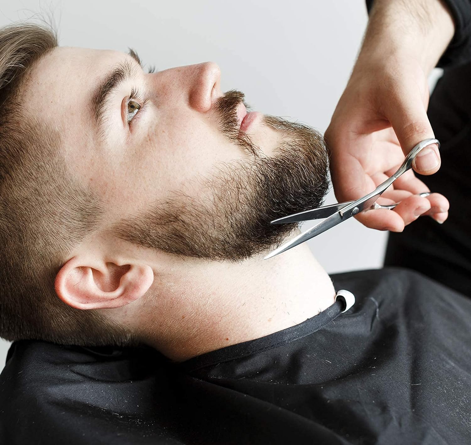 Utopia Care Hair Cutting and Hairdressing Scissors 6.5 Inch, Premium Stainless Steel shears with smooth Razor & Sharp Edge Blades, for Salons, Men & Women, Kids, Adults, & Pets - Silver