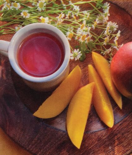 Bigelow Tea Lemon Ginger plus Probiotics Herbal Tea, Caffeine Free Tea with Lemon and Ginger, 18 Count Box (Pack of 6), 108 Total Tea Bags