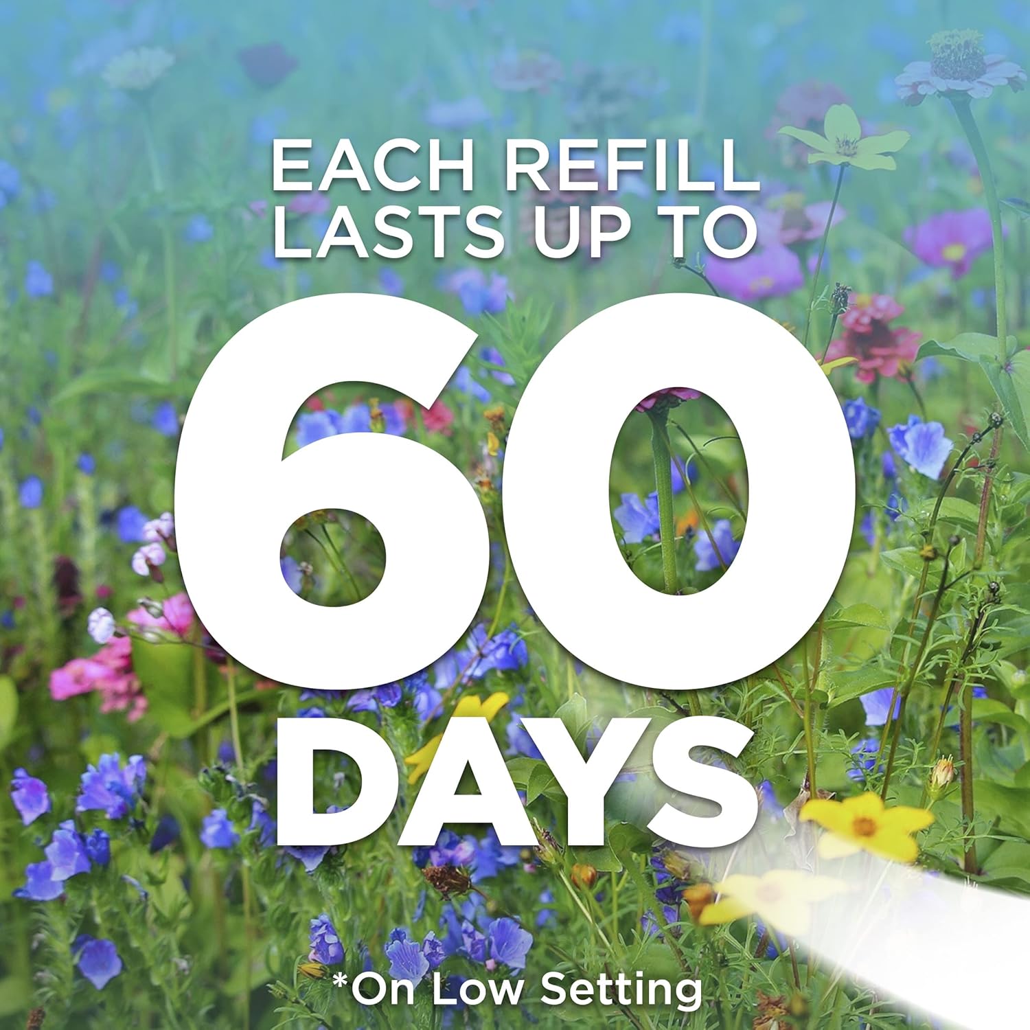 Air Wick Plug in Scented Oil Refill, 10ct, Lavender & Chamomile, Air Freshener, Essential Oils, Eco Friendly