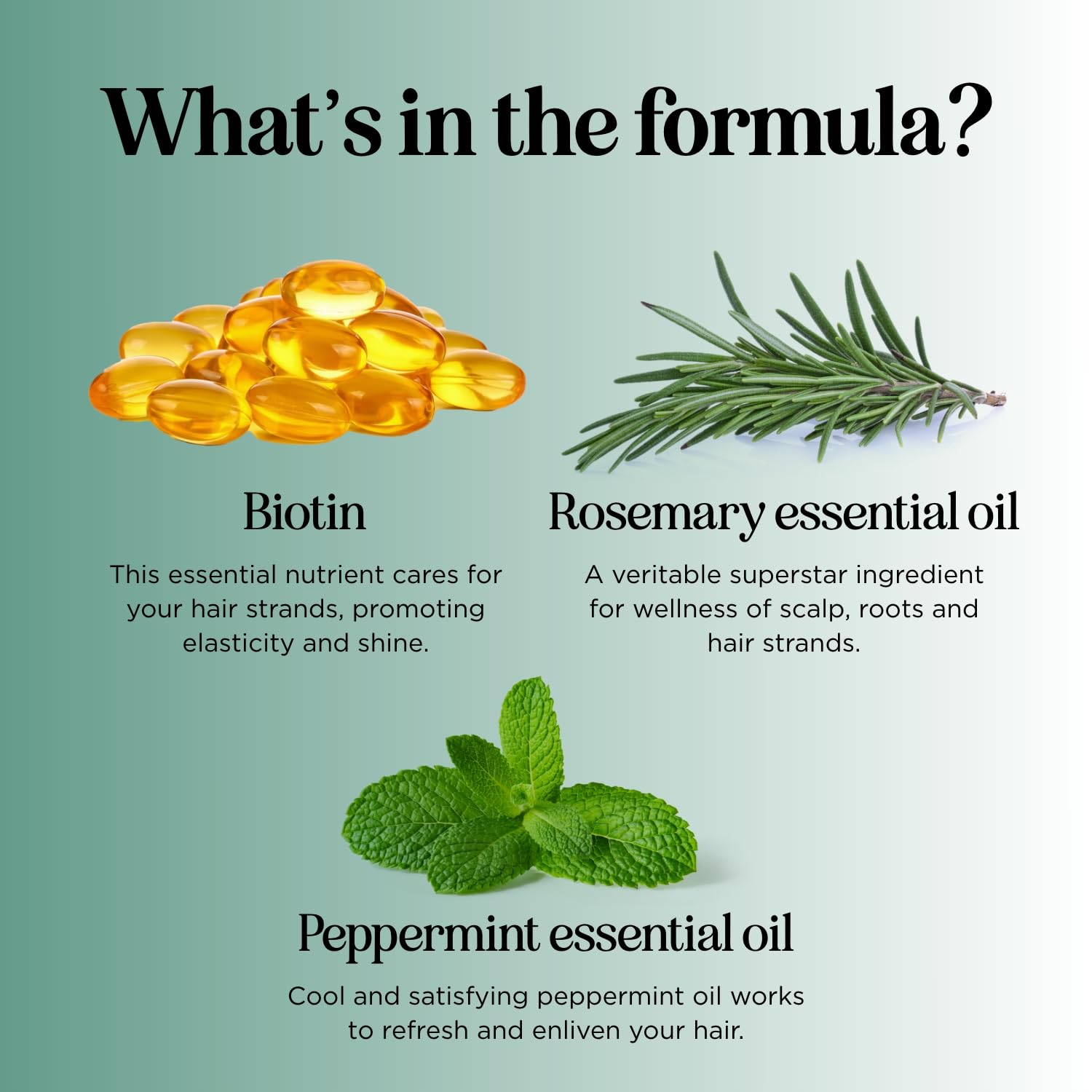 Rosemary and Biotin Shampoo for Thinning Hair - Vegan Volumizing Shampoo for Fine Hair with Argan and Tea Tree Oil - Paraben Silicone and Sulfate Free Shampoo for Dry Damaged Weak and Thin Hair Care