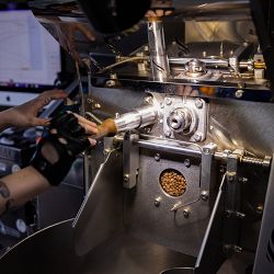 Black & White Coffee Roasters The Natural Blend Coffee Beans