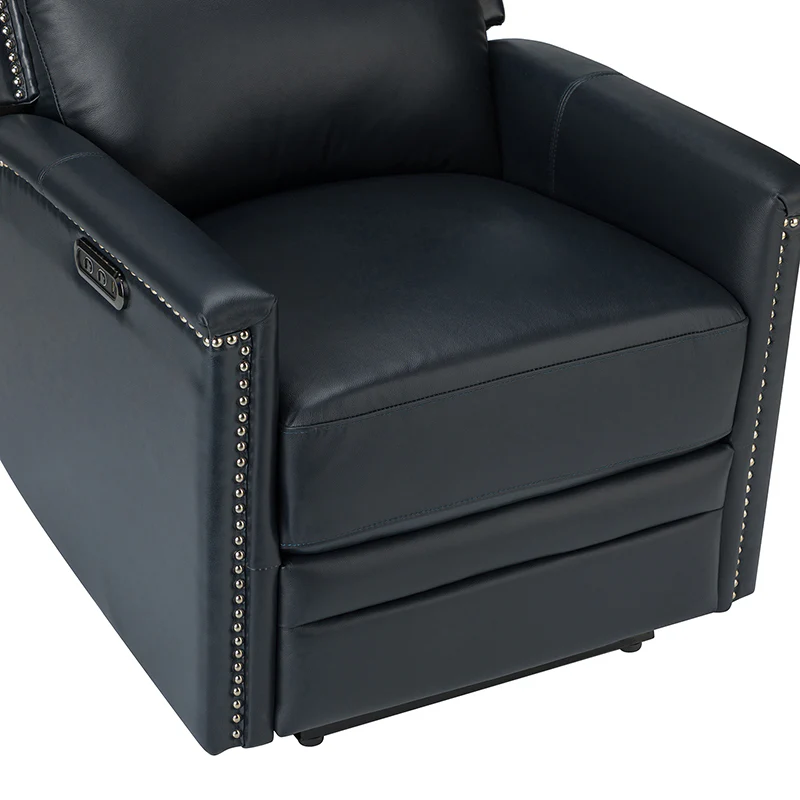 Ottfried Genuine Leather Power Recliner