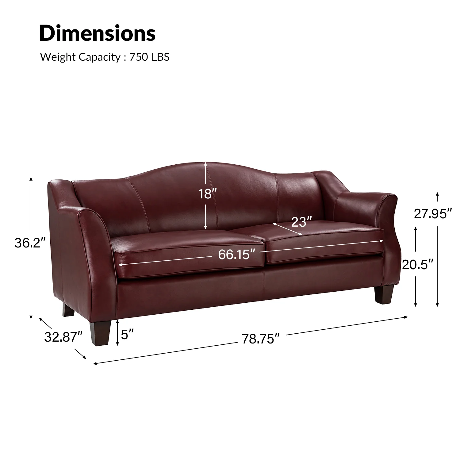 Hugo Traditional Style Curved Genuine Leather Elegant Sofa