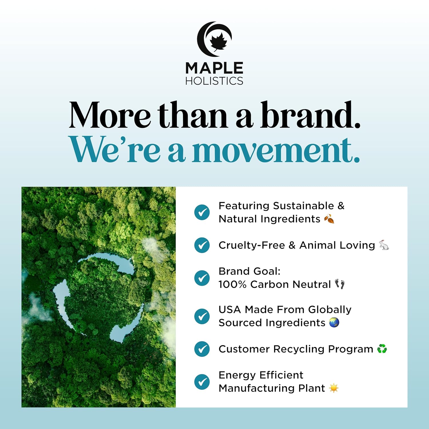 Rosemary and Biotin Shampoo for Thinning Hair - Vegan Volumizing Shampoo for Fine Hair with Argan and Tea Tree Oil - Paraben Silicone and Sulfate Free Shampoo for Dry Damaged Weak and Thin Hair Care