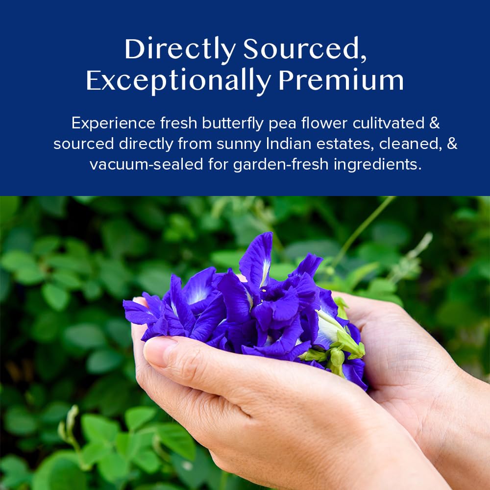 VAHDAM, Organic Turmeric Ginger Herbal Tea Bags (100 Pyramid Tea Bags) Caffeine Free, Non GMO, Gluten Free | 100% Pure Herbal Blend - Savory & Spicy | Plant-Based Tea Bags | Resealable Ziplock Pouch