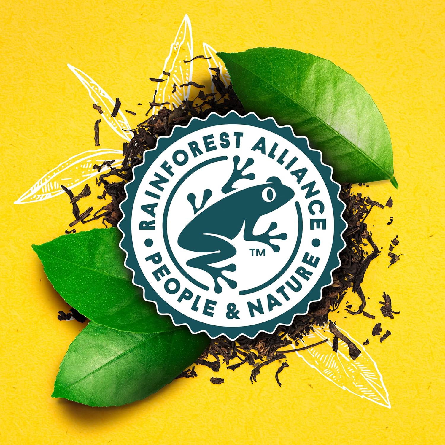 Lipton Tea Bags, Black Tea, Iced or Hot Tea, Can Support Heart Health, 100 Total Tea Bags