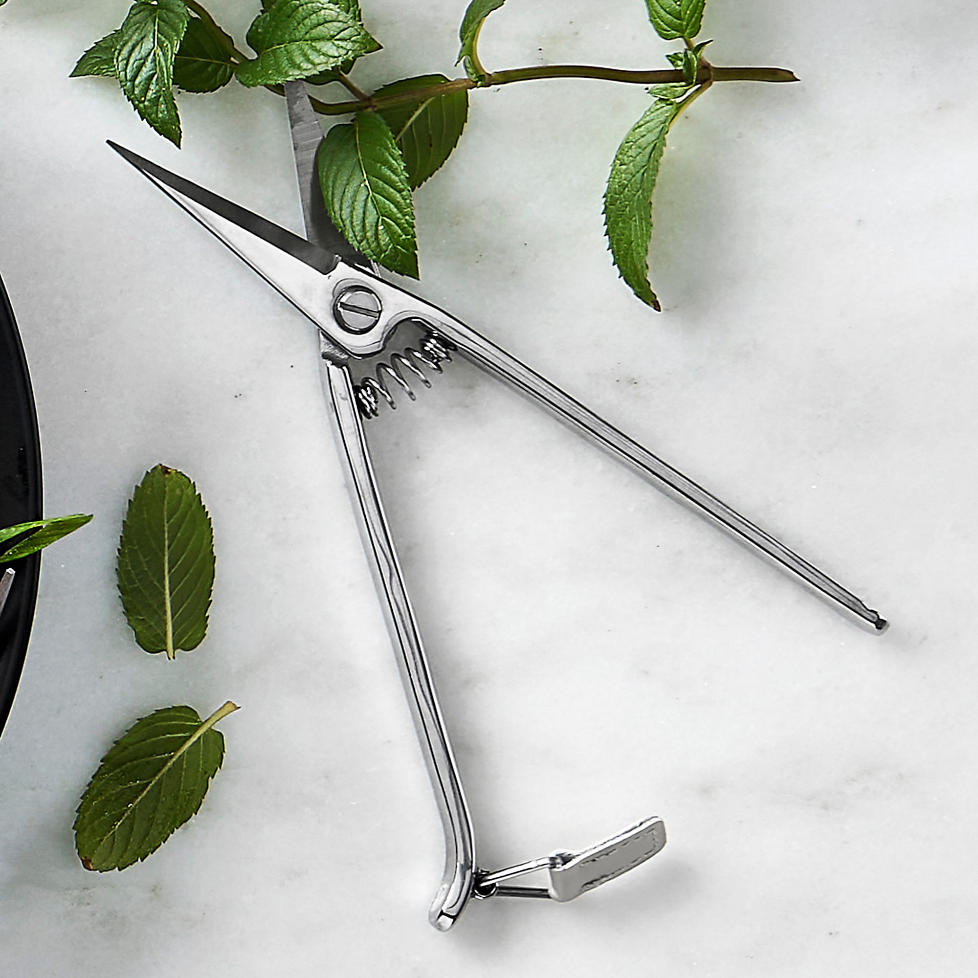 Williams Sonoma Herb Snips