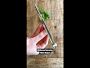 Williams Sonoma Herb Snips
