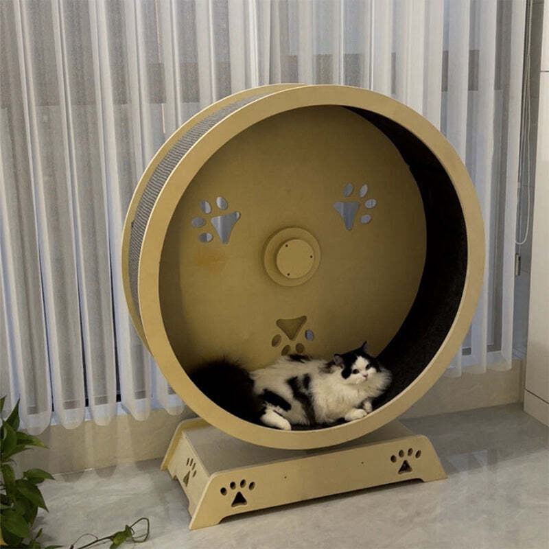 ❤️The Best Gift For Your Cats