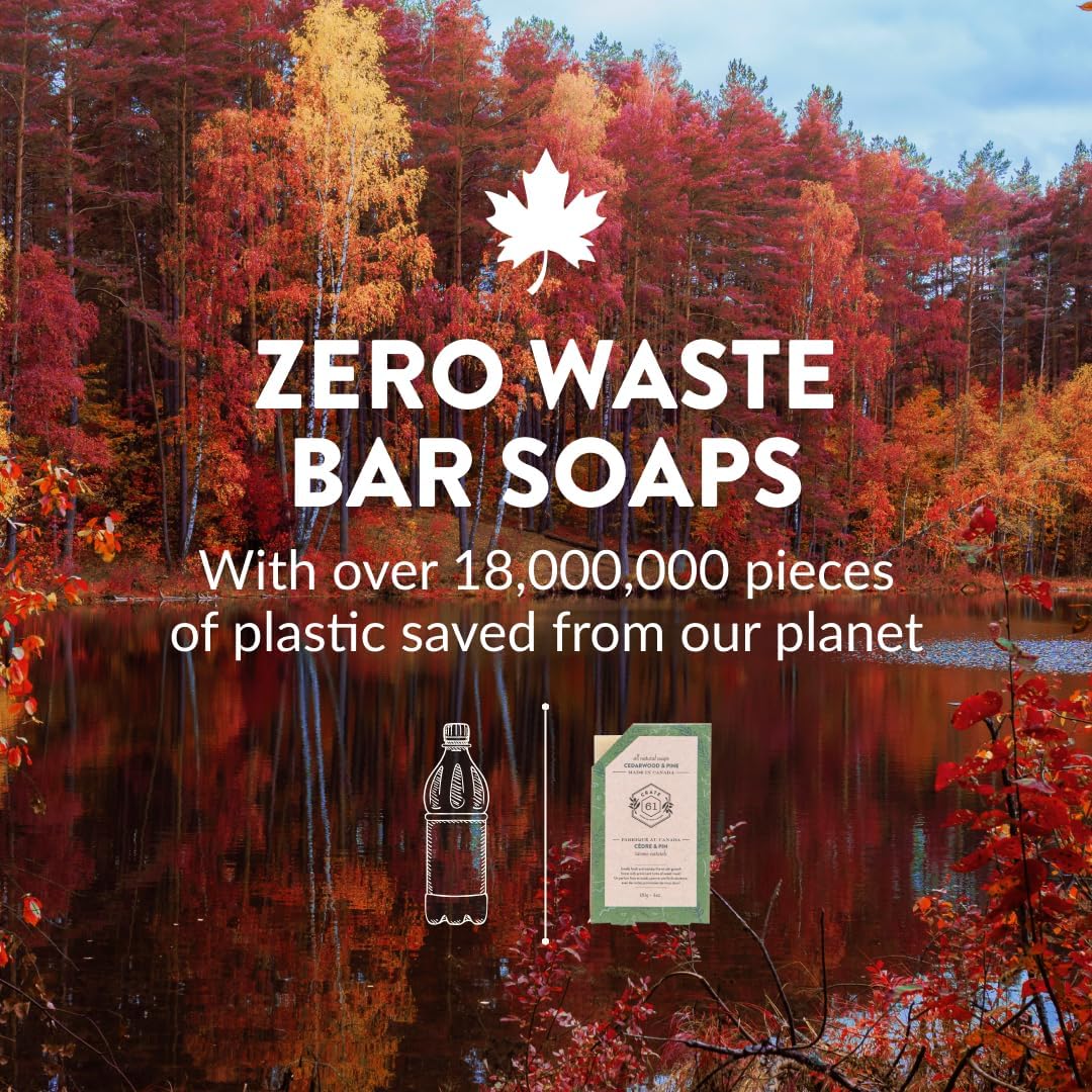 Handmade in Canada, Plant Based Cold Process Natural Bar Soap, With Premium Essential Oils, Dry Skin, Pack of 6 (Most Popular)