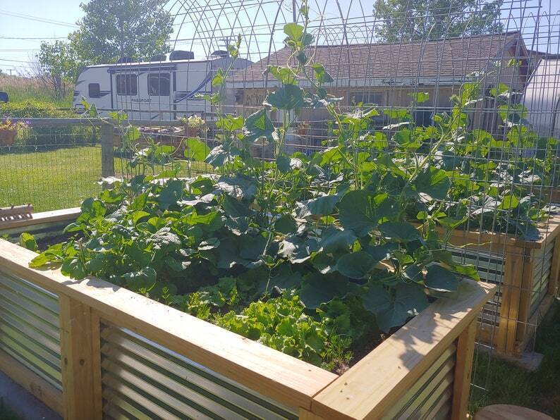 💝 Buy 3 Only $19 🔥Cedar Raised Garden Bed