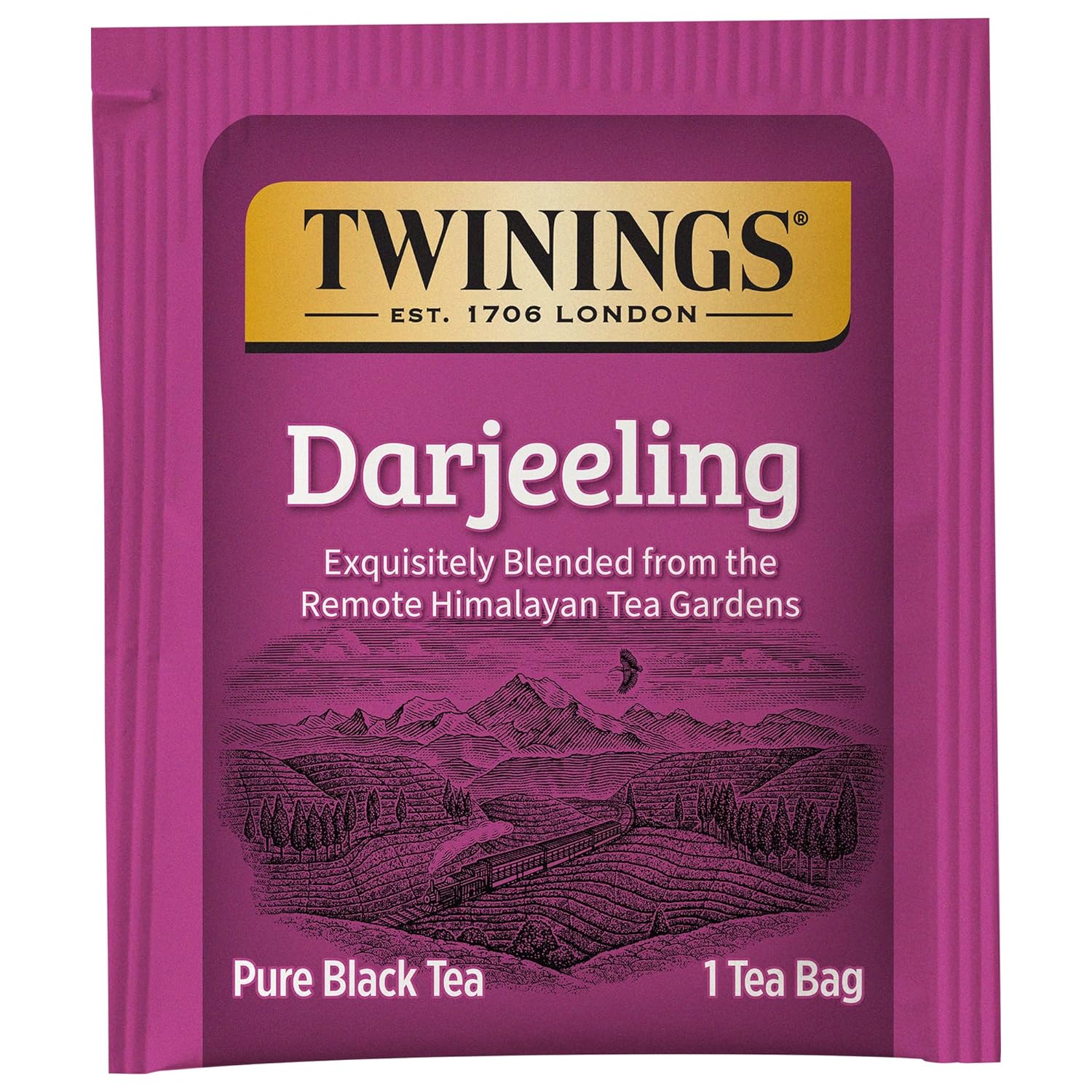 Twinings English Breakfast Black Tea Individually Wrapped Bags, 100 Count (Pack of 1), Smooth, Flavourful, and Robust, Caffeinated, Enjoy Hot or Iced | Packaging May Vary