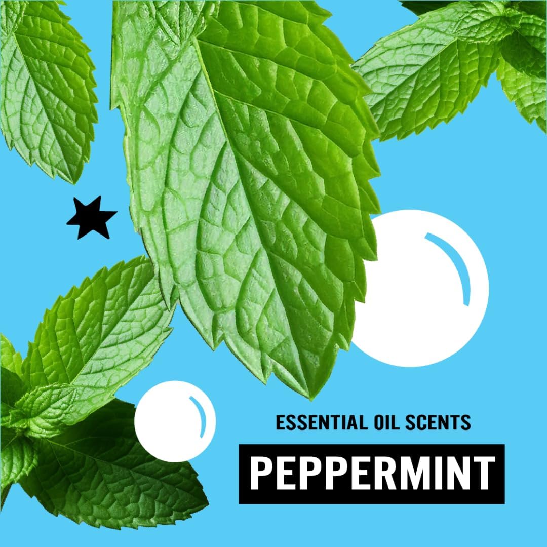 Molly's Suds Original Laundry Detergent Powder | Natural Laundry Detergent Powder for Sensitive Skin | Earth-Derived Ingredients, Stain Fighting | 120 Loads (Unscented)