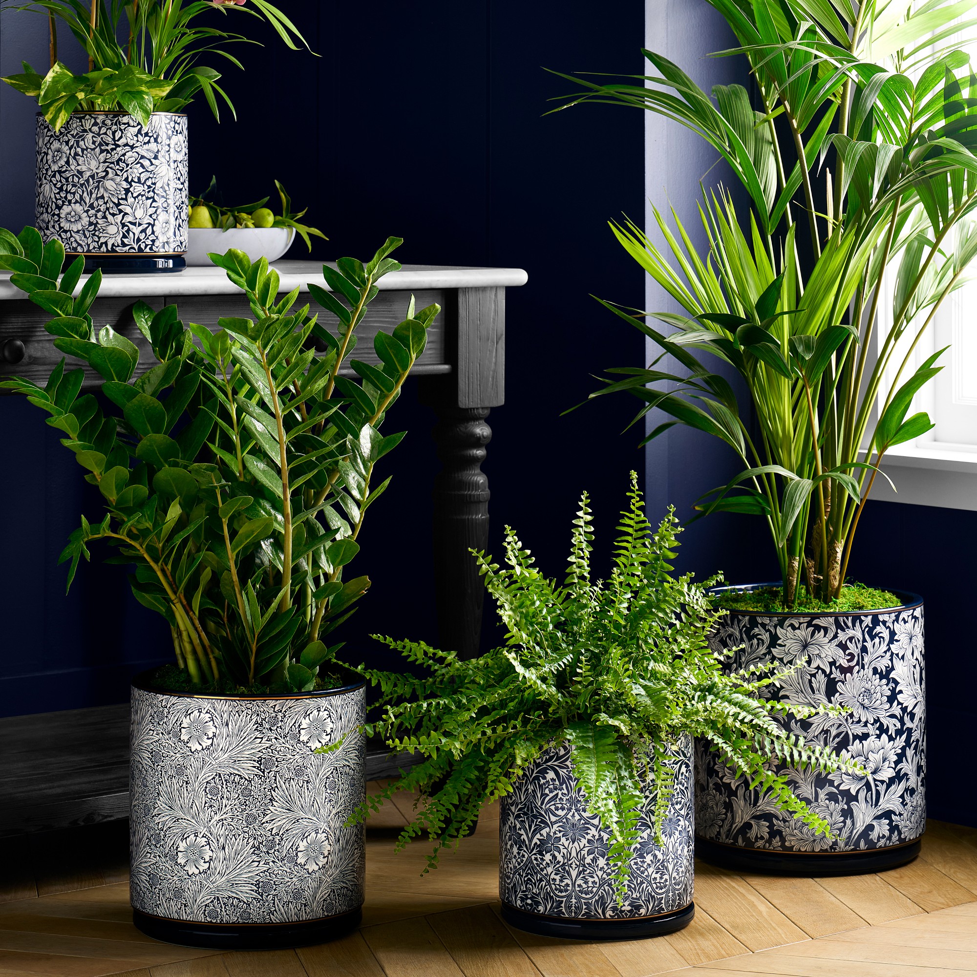 Morris & Co. x Williams Sonoma Ceramic Planter Collection