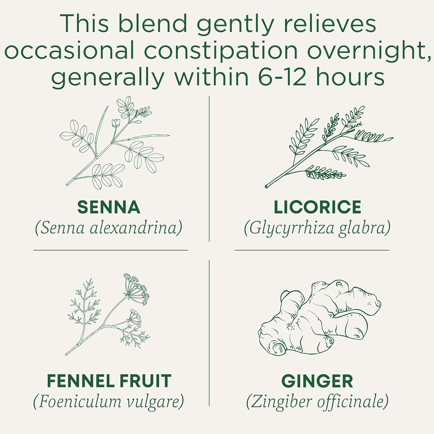 Traditional Medicinals Smooth Move, Helps Relieve Constipation Overnight, 16 Teabags