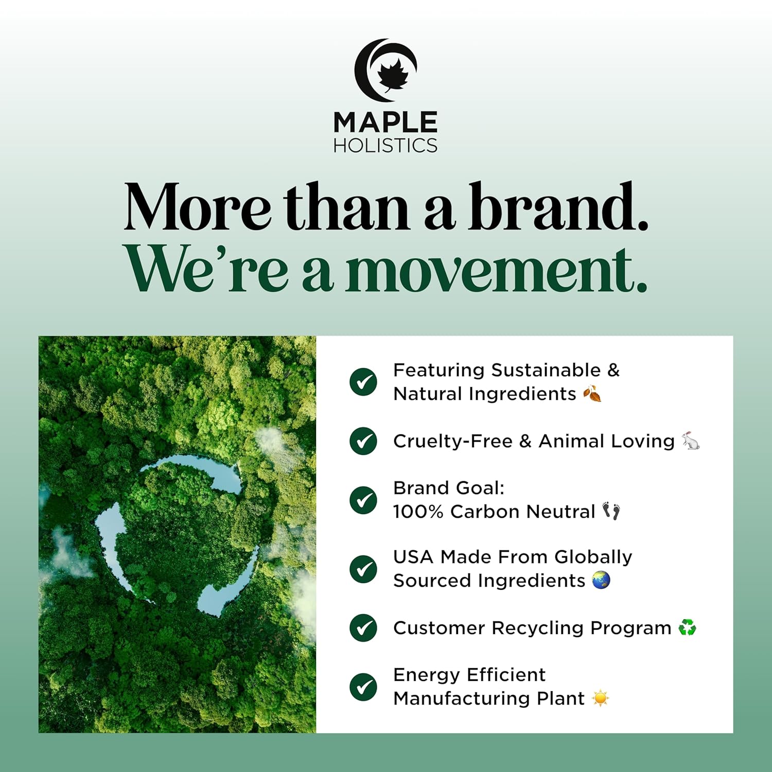 Volumizing Biotin Shampoo and Conditioner Set - Sulfate Free Shampoo and Conditioner for Dry Damaged Hair Care - Thinning Hair Shampoo and Conditioner with Nourishing Biotin and Rosemary Oil (8oz)