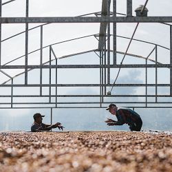 ONYX Coffee Monarch Blend Coffee Beans