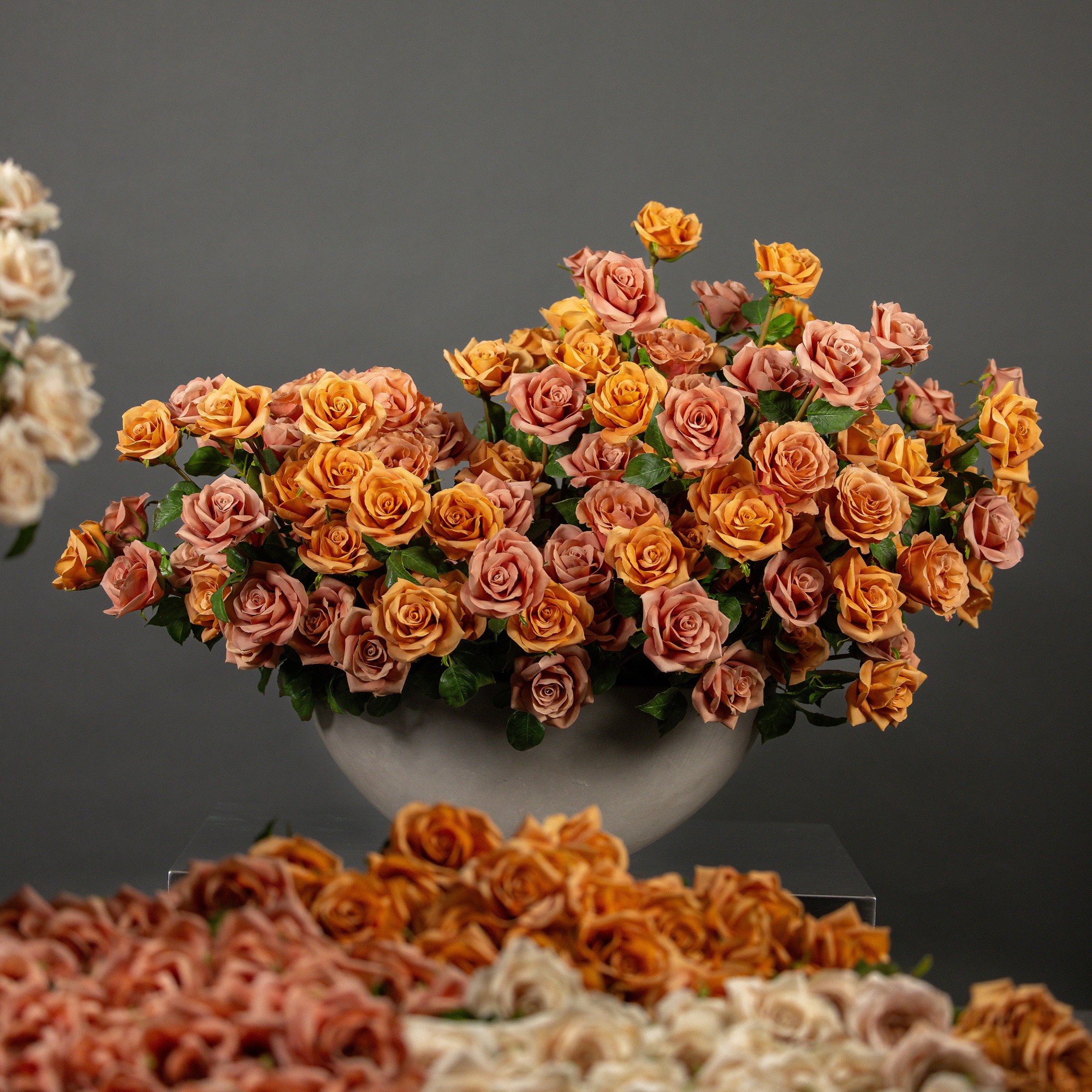 Jeff Leatham x Williams Sonoma Real Touch Faux Mocha Rose Stems, Set of 12