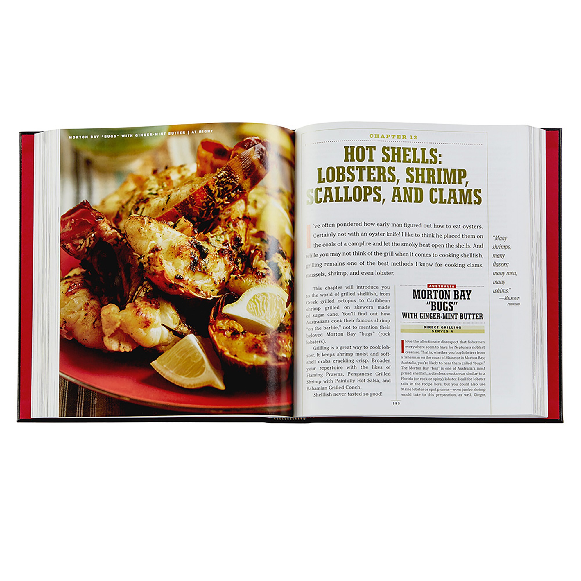 Steven Raichlen: The Barbecue! Bible