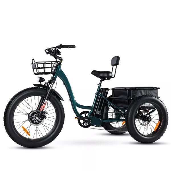 Outdoor electric bike with replaceable 48V 750Wh lithium battery✨