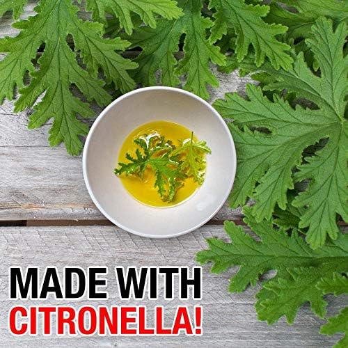 Green Gobbler Drai FLI Fruit Goodbye Gel Treatment | Drain Fly Killer, Assorted