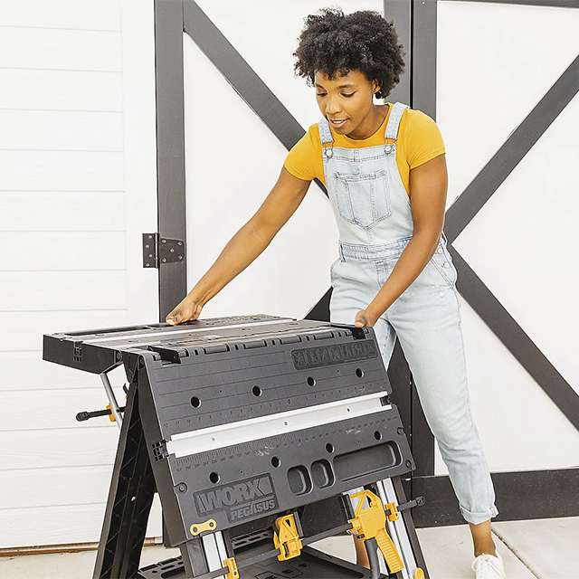 💝Last day💝WORX 31