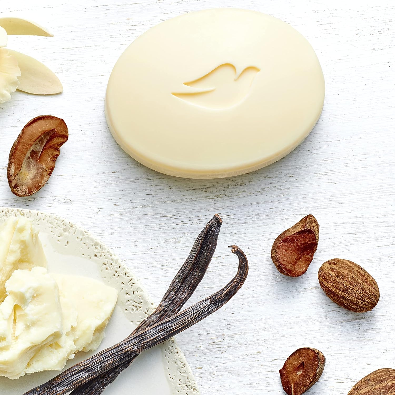 Dove Beauty Bar Gentle Skin Cleanser Shea Butter 8 Bars Moisturizing for Gentle Soft Skin Care More Moisturizing Than Bar Soap 3.75 oz