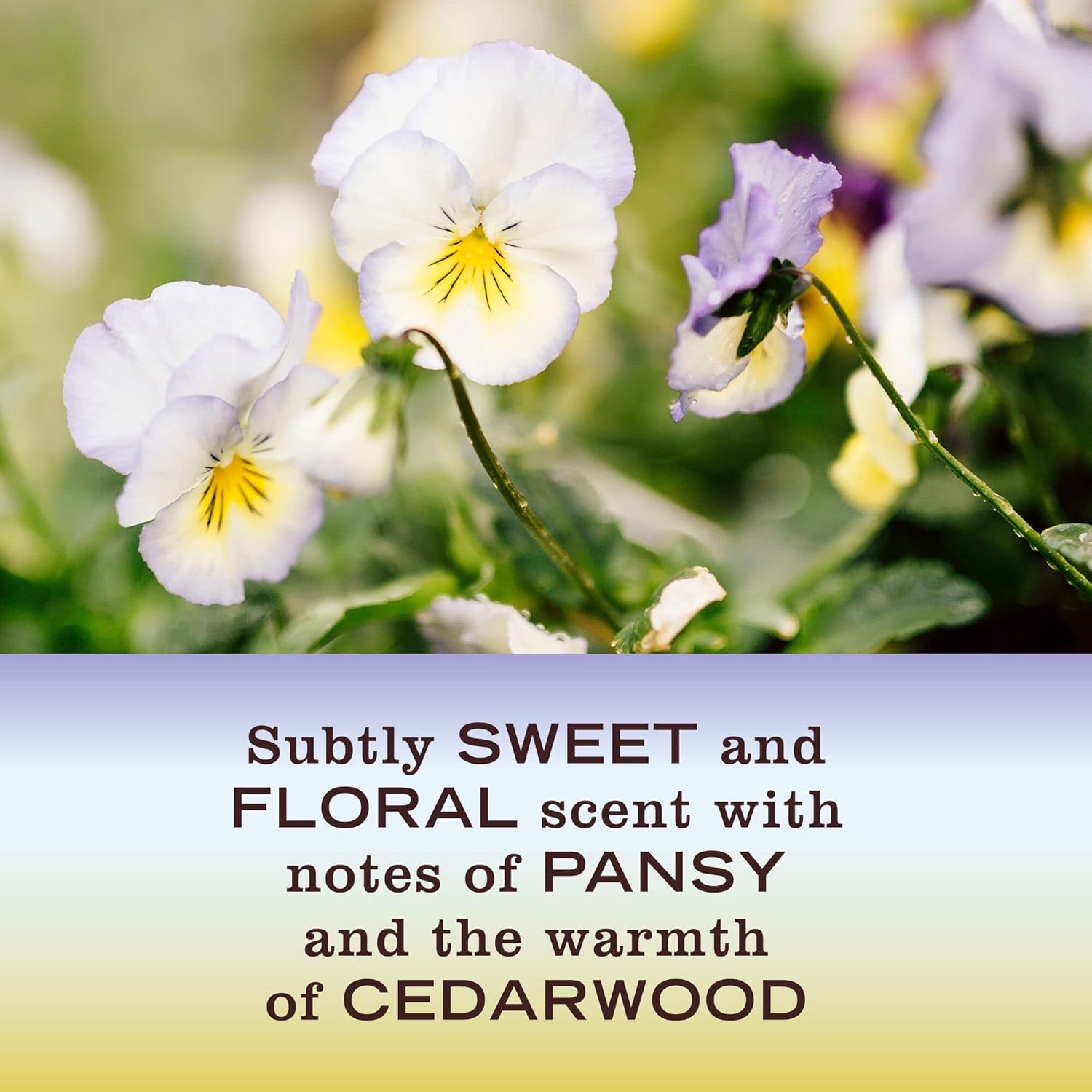 MRS. MEYER'S CLEAN DAY Hand Soap, Made with Essential Oils, Biodegradable Formula, Honeysuckle, 12.5 fl. oz - Pack of 3