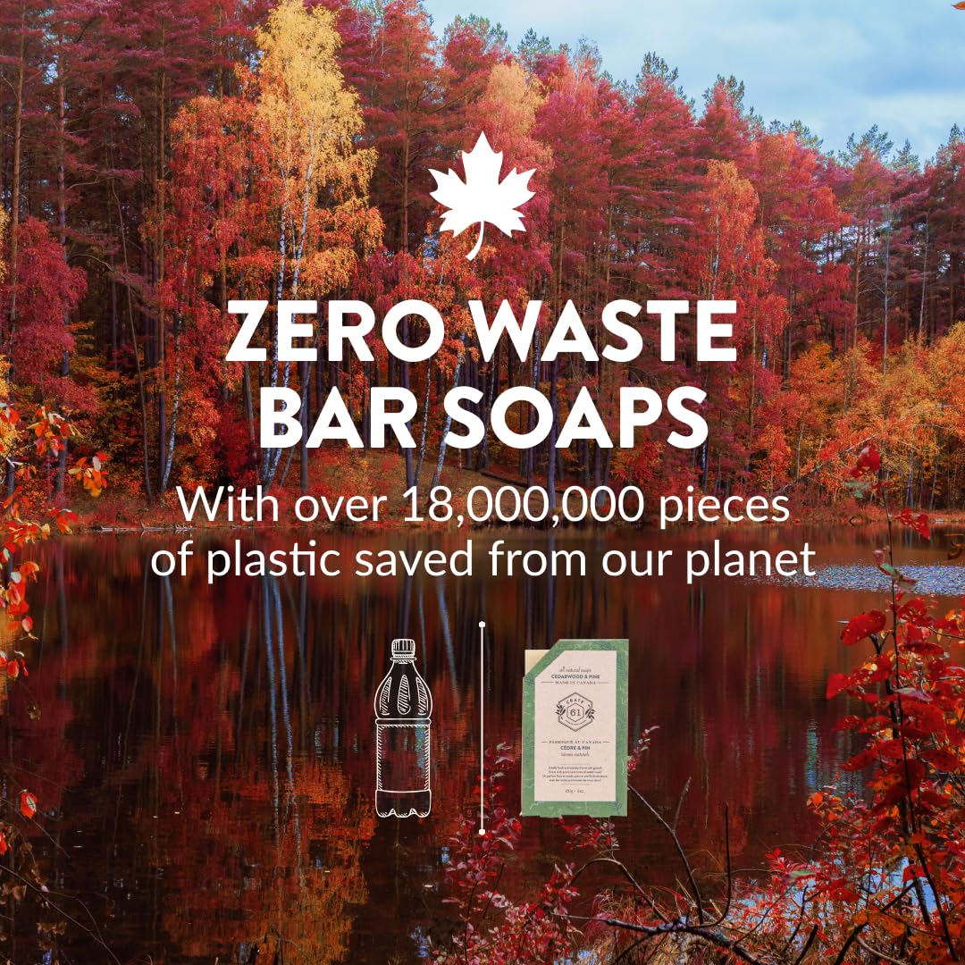 Handmade in Canada, Plant Based Cold Process Natural Bar Soap, With Premium Essential Oils, Dry Skin, Pack of 6 (Most Popular)