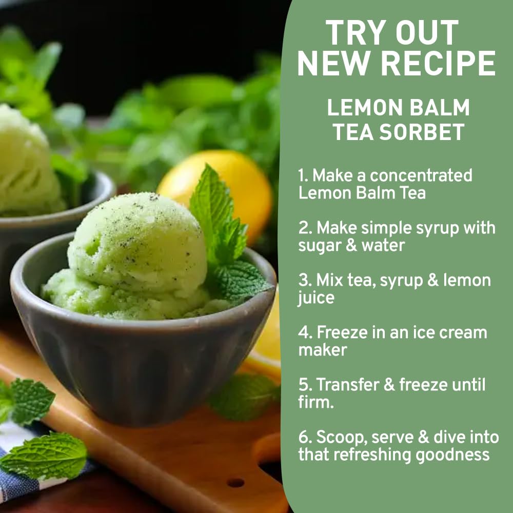 HANDPICK, Peppermint Tea, Eco-Conscious Tea Bags - 100 Count | Caffeine Free, Non-GMO | Minty, Fresh & Cool flavor | Direct From Source