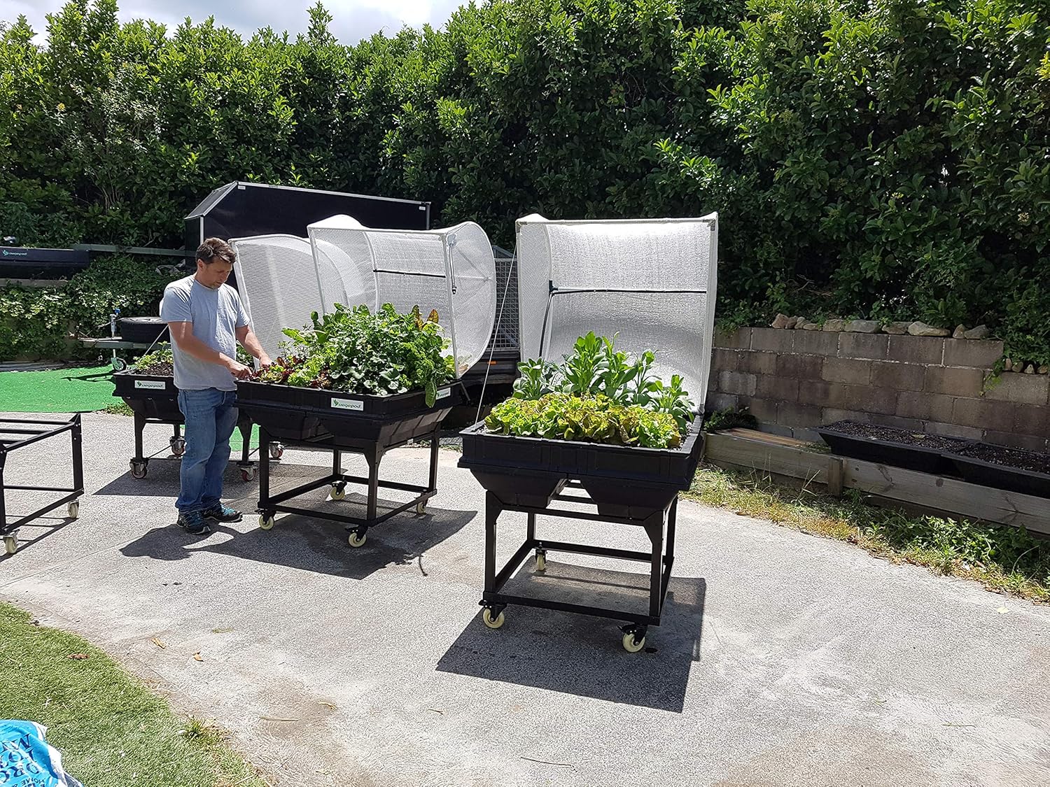 Vegepod - Raised Garden Bed - Self Watering Container Garden Kit with Protective Cover