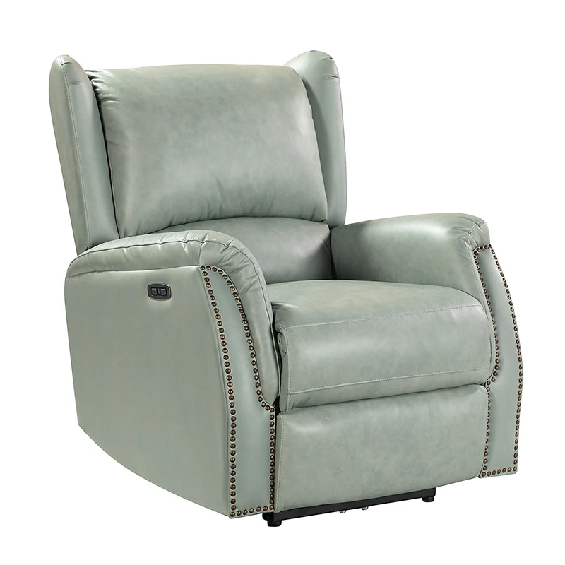 Flora Genuine Leather Power Recliner