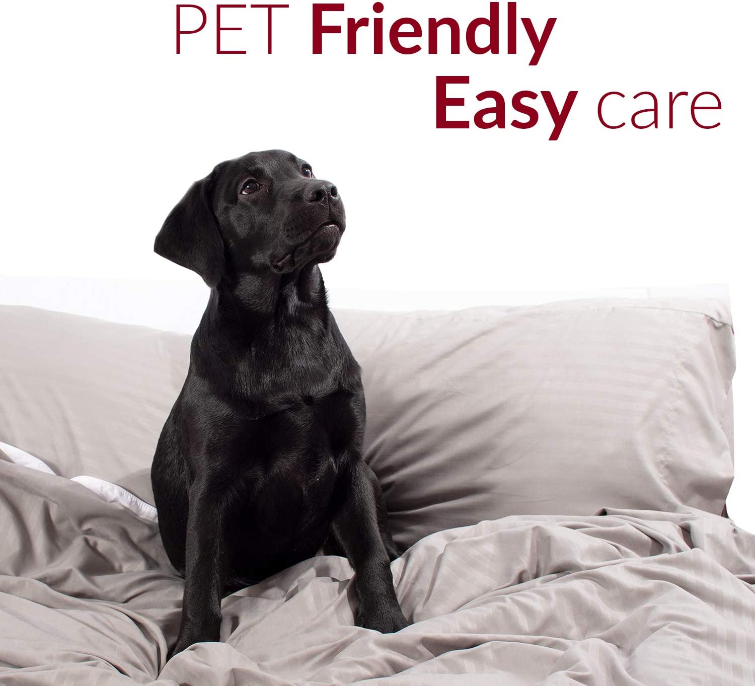 Queen Sheet Sett- 4 Piece