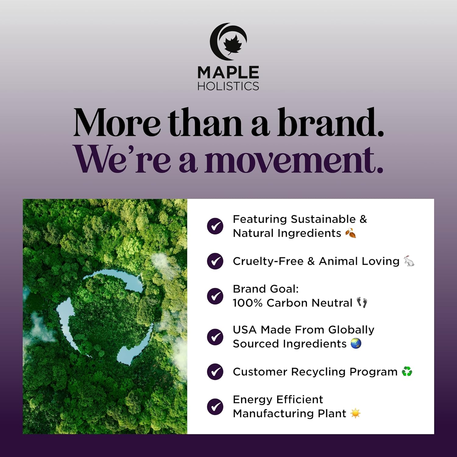 Volumizing Biotin Shampoo and Conditioner Set - Sulfate Free Shampoo and Conditioner for Dry Damaged Hair Care - Thinning Hair Shampoo and Conditioner with Nourishing Biotin and Rosemary Oil (8oz)