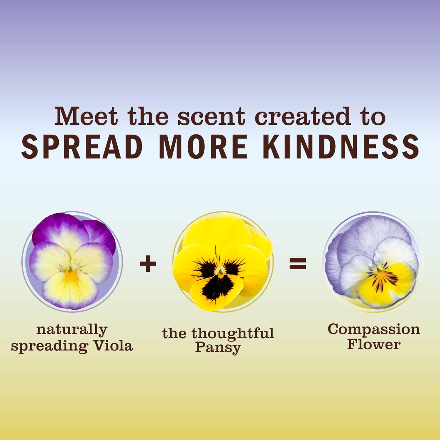 MRS. MEYER'S CLEAN DAY Hand Soap, Made with Essential Oils, Biodegradable Formula, Honeysuckle, 12.5 fl. oz - Pack of 3