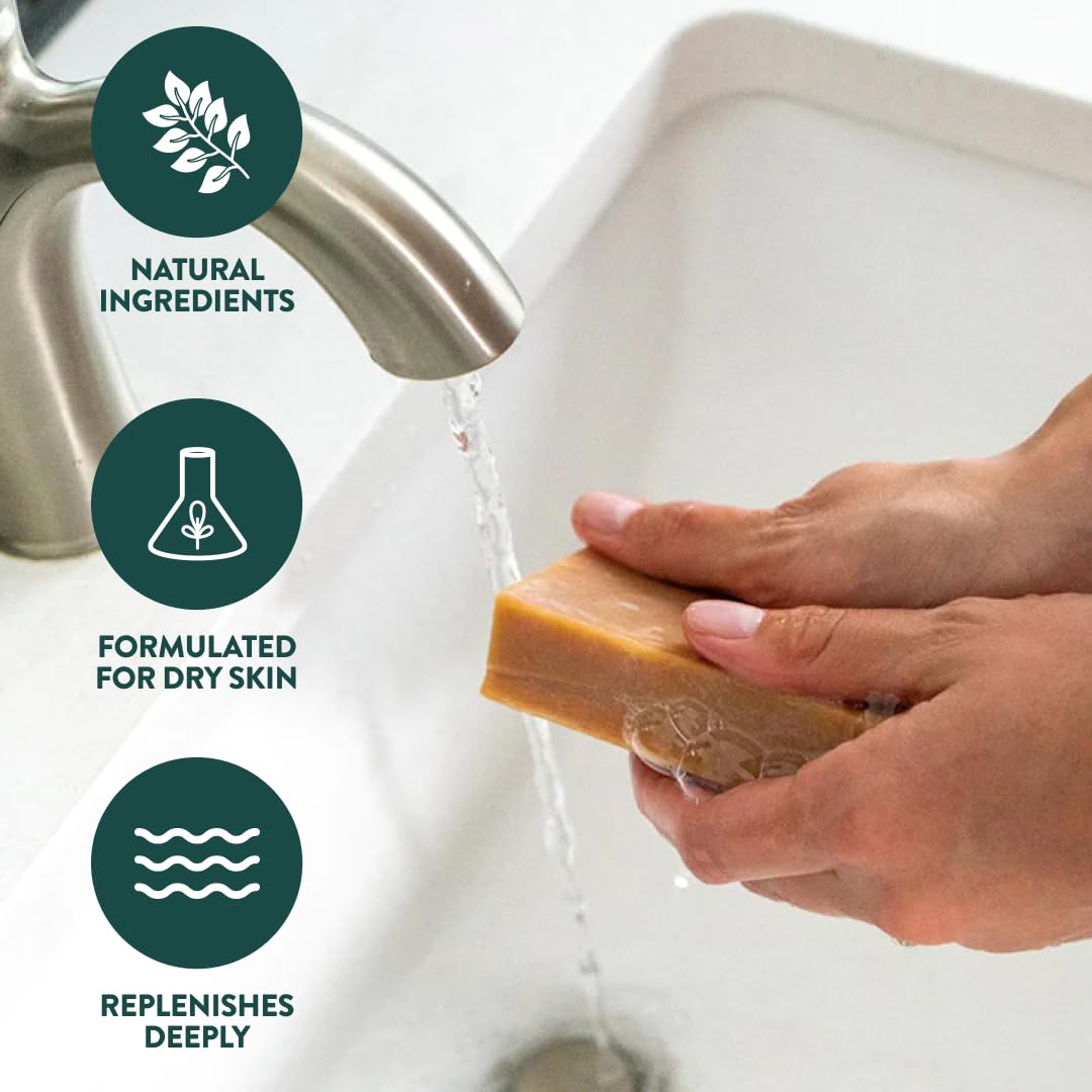 Handmade in Canada, Plant Based Cold Process Natural Bar Soap, With Premium Essential Oils, Dry Skin, Pack of 6 (Most Popular)