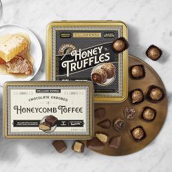 Williams Sonoma Chocolate Enrobed Honeycomb Toffee