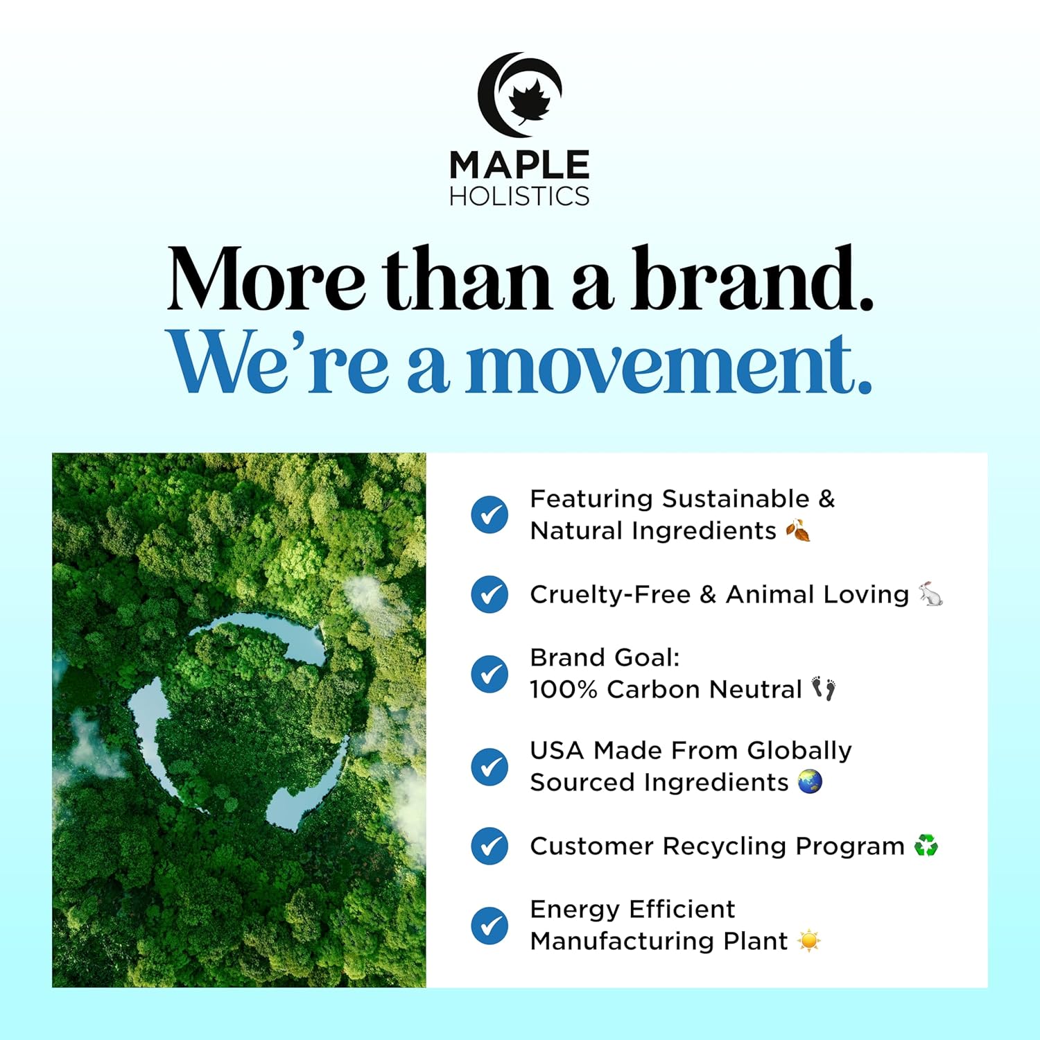 Volumizing Biotin Shampoo and Conditioner Set - Sulfate Free Shampoo and Conditioner for Dry Damaged Hair Care - Thinning Hair Shampoo and Conditioner with Nourishing Biotin and Rosemary Oil (8oz)