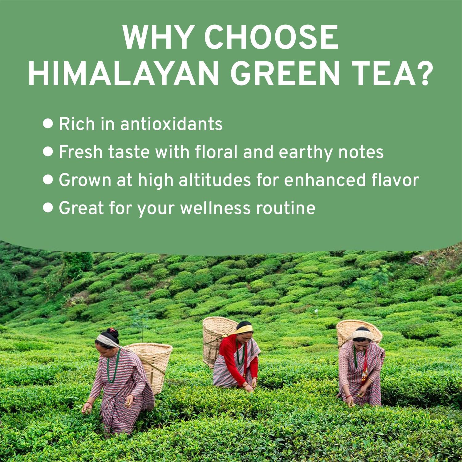 VAHDAM, Organic Turmeric Ginger Herbal Tea Bags (100 Pyramid Tea Bags) Caffeine Free, Non GMO, Gluten Free | 100% Pure Herbal Blend - Savory & Spicy | Plant-Based Tea Bags | Resealable Ziplock Pouch