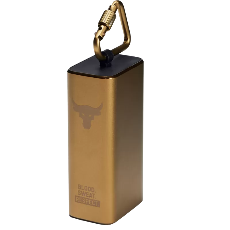 UA Project Rock True Wireless