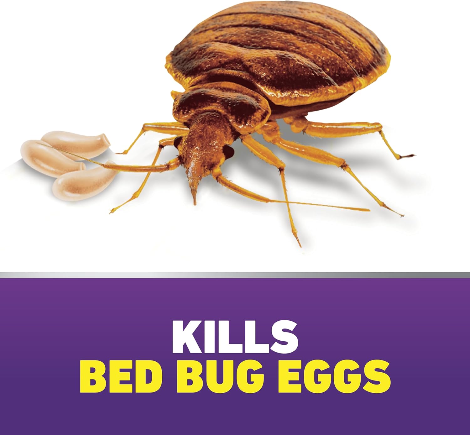 Ortho Home Defense Max Bed Bug, Flea and Tick Killer - With Ready-to-Use Comfort Wand, Kills Bed Bugs and Bed Bug Eggs, Bed Bug Spray Also Kills Fleas and Ticks, 1 gal.